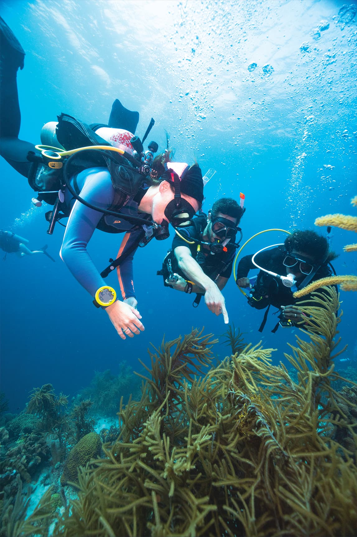 Divers at a wreck site