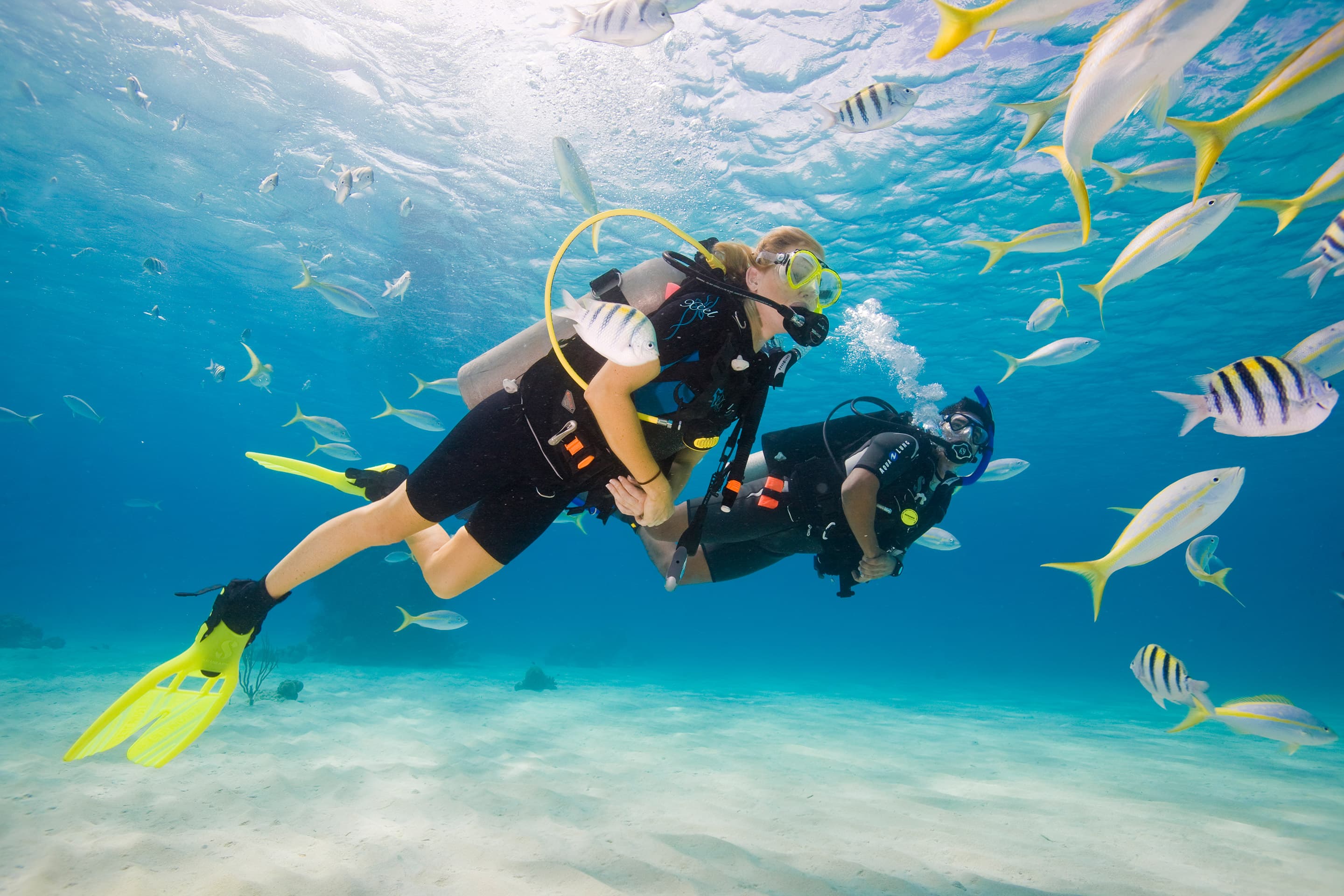 Divers on a guided multi-site dive trip