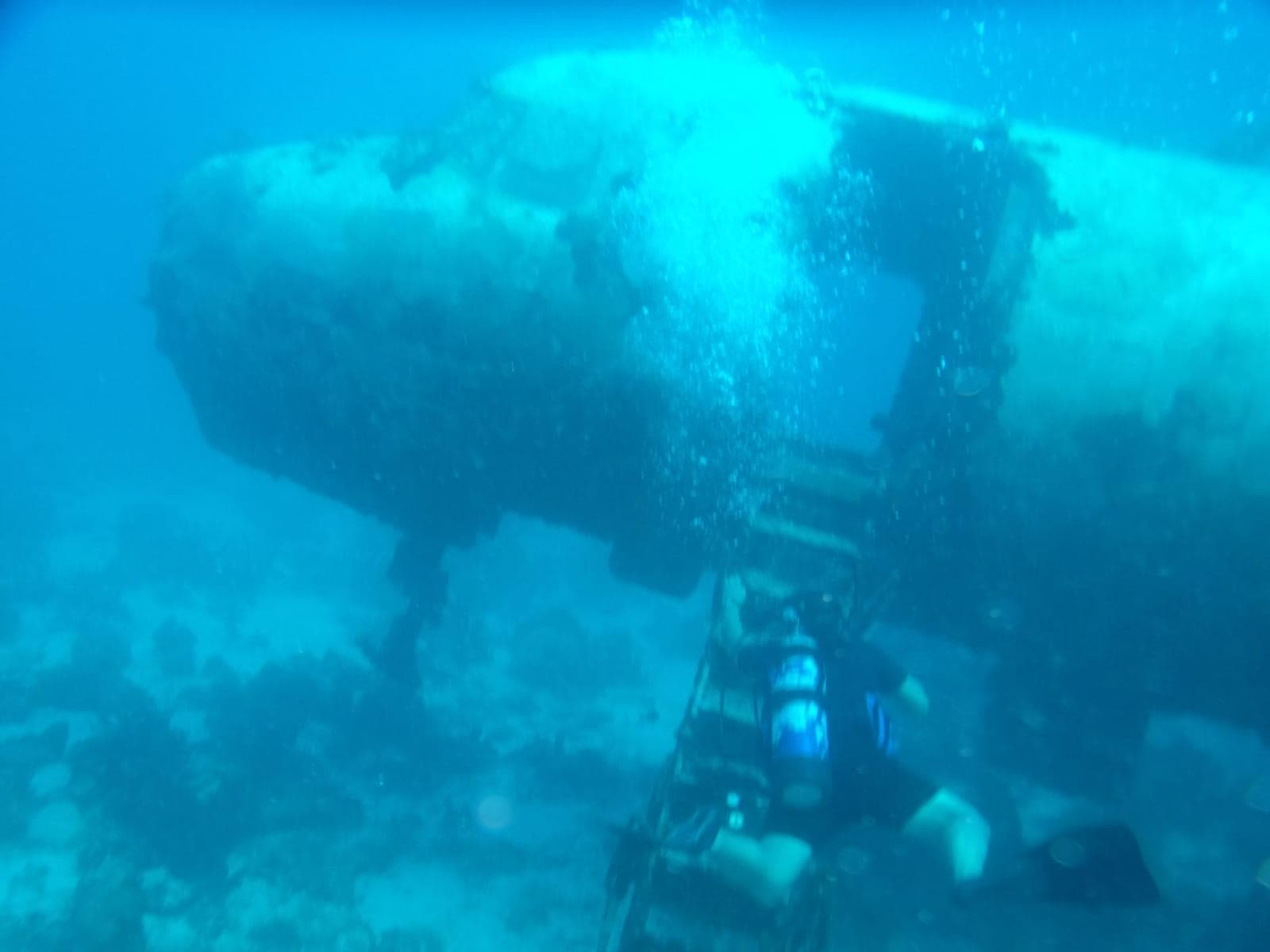 Experienced diver at a dramatic deep site