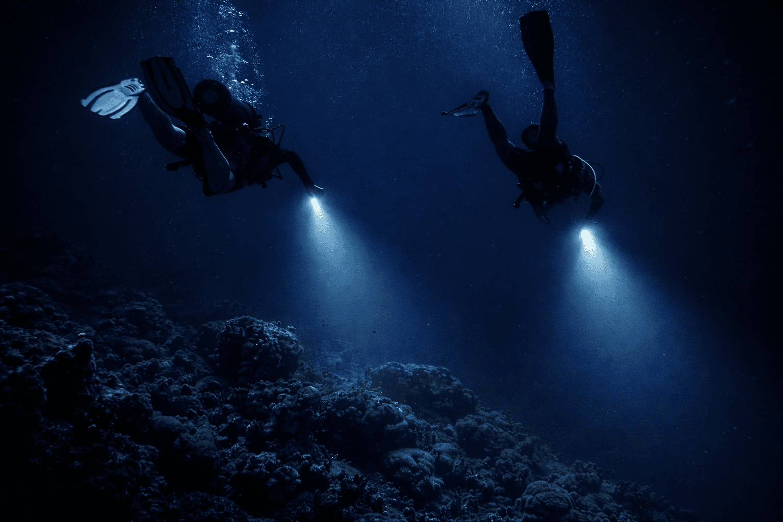 Night reef with diver torch