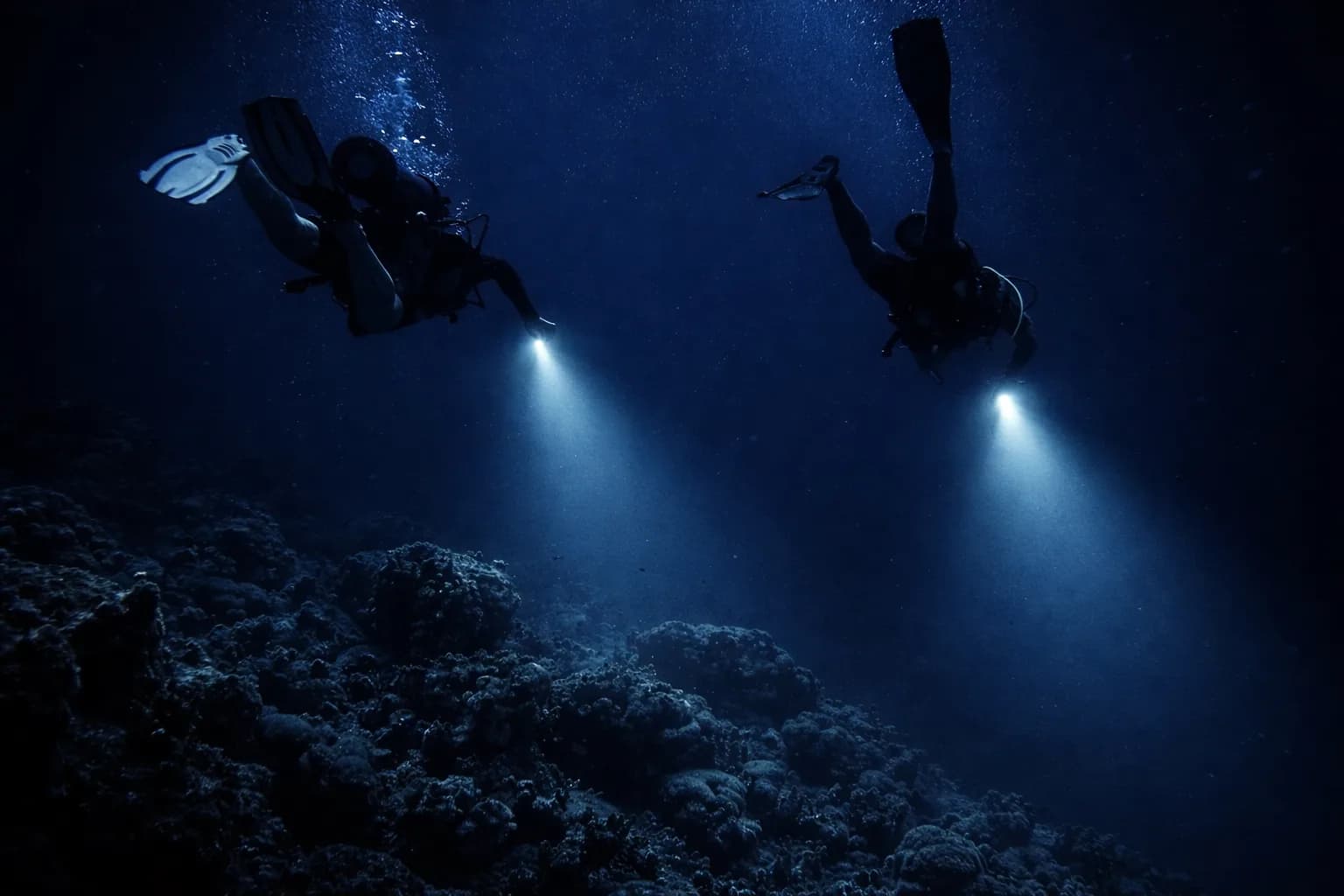 Diver with torch on a guided night dive