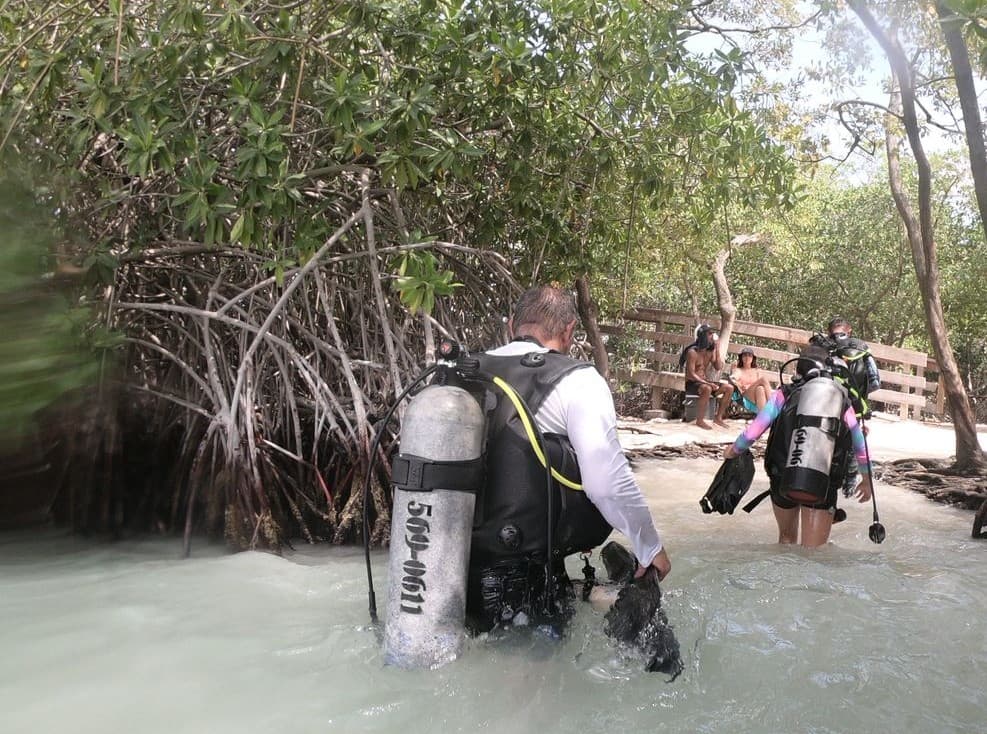 Pre-dive preparation